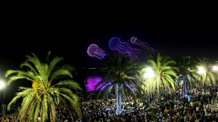 Ozean-Konferenz in Nizza: Weltmeere sollen "nicht zum Wilden Westen werden"