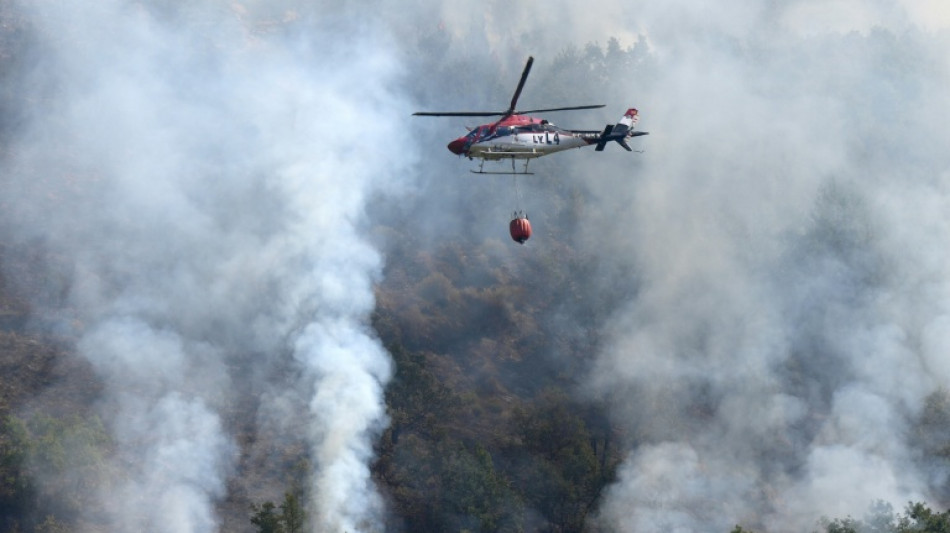 Spain to launch biggest forest fire campaign after record losses: PM