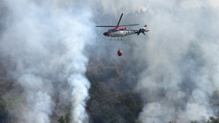 Spain to launch biggest forest fire campaign after record losses: PM