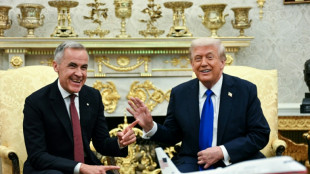 Trump talks up Canada deal chances with visiting PM