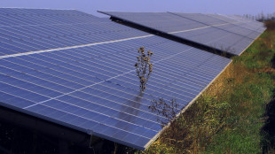 Iea, il mercato energie pulite triplicher&agrave; nel 2035