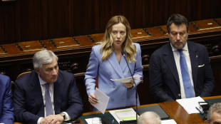 Meloni, al summit Nato l'Italia con il 2,8% del Pil in spese per la difesa
