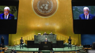 Thwarted by US, Palestinians look to UN General Assembly