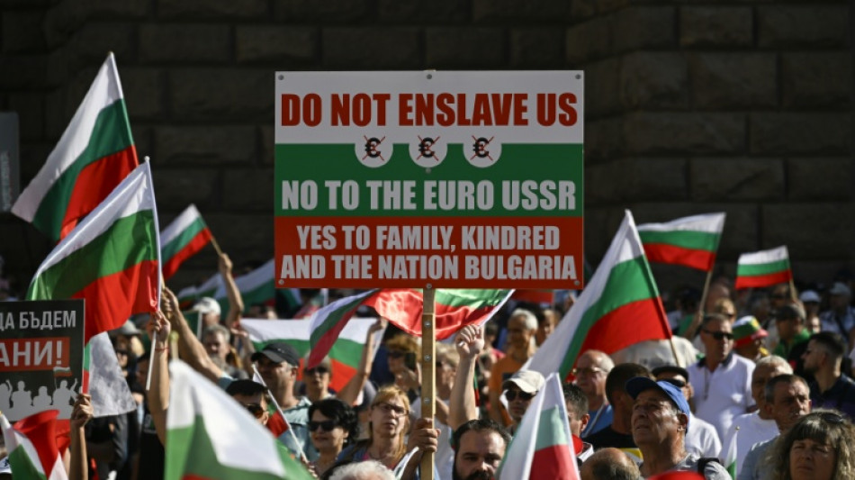 Bulgaria debe obtener la autorizaci&oacute;n final para adherir al euro en 2026