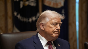 Trump, 'penso sia il momento di indire elezioni in Ucraina'