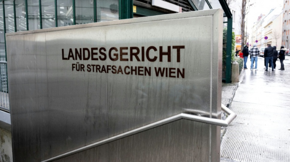 Austrian court sentences Syrian torturers to 8 years in jail