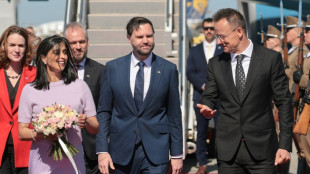 Le vice-pr&eacute;sident am&eacute;ricain vante aux Hongrois les m&eacute;rites de Viktor Orban &agrave; l'approche des l&eacute;gislatives