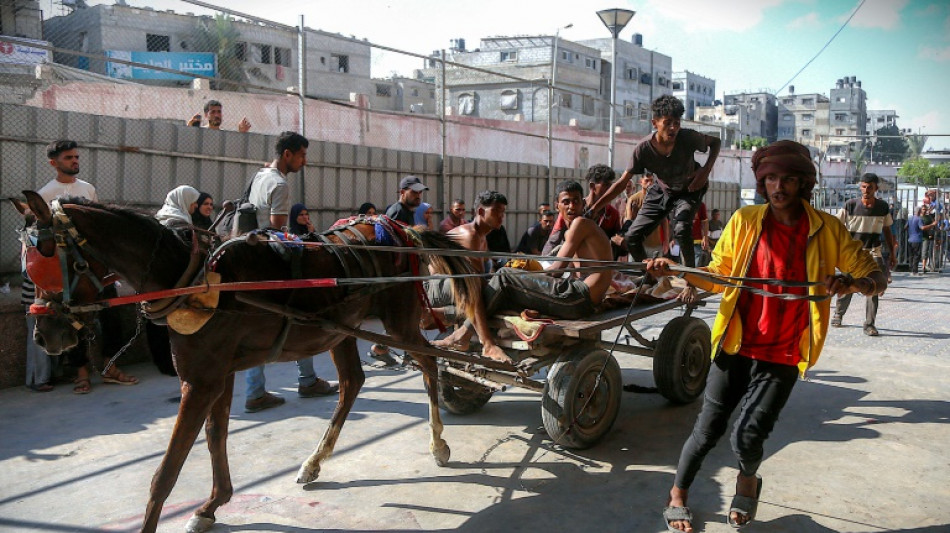 Defensa Civil en Gaza informa de 93 muertos por disparos israel&iacute;es contra palestinos que esperaban ayuda
