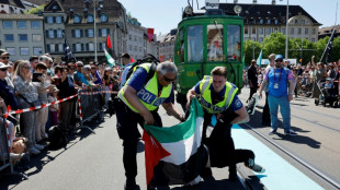 Complaint filed over 'throat-slitting gesture' at Eurovision protests: Israeli broadcaster