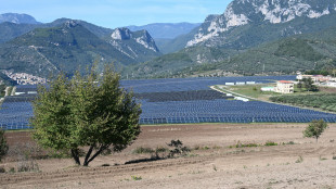 Produttori indipendenti, dl bollette non basta, servono rinnovabili e regole stabili