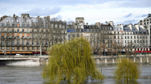 Ile-de-France: plus d'un million de personnes expos&eacute;es au risque de crue majeure