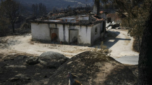Portugal: un feu de forêt a ravagé une surface record de 64.000 hectares