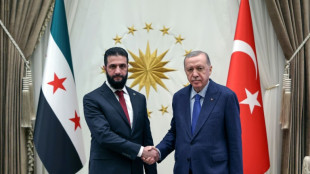 Syriens &Uuml;bergangspr&auml;sident al-Scharaa f&uuml;hrt in Ankara Gespr&auml;che mit Erdogan