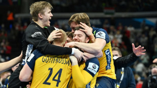 Euro de hand: la Suède sacrée championne d'Europe face l'Espagne (27-26)