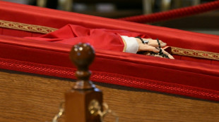 Mais de 60.000 fi&eacute;is se despediram do papa Francisco na capela-ardente