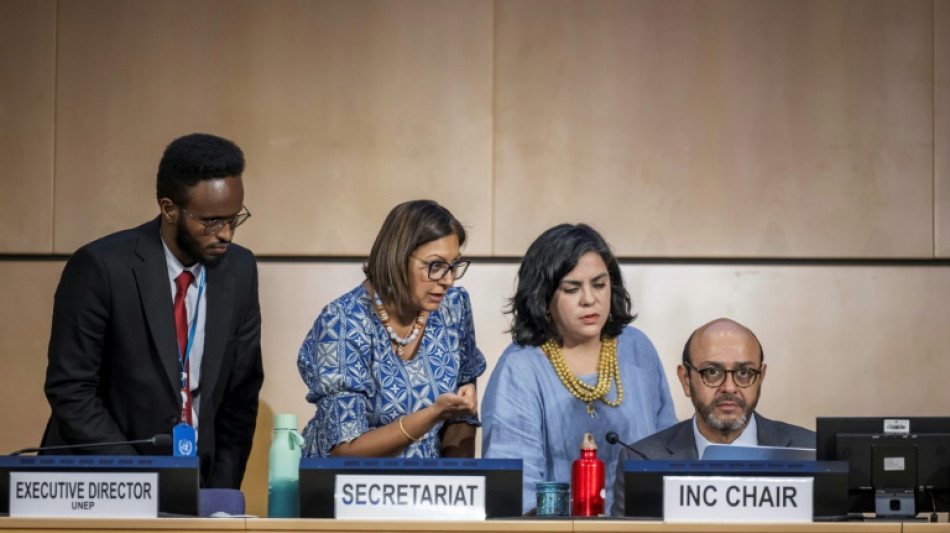 Fracasan en Ginebra las negociaciones para un tratado contra la contaminaci&oacute;n pl&aacute;stica