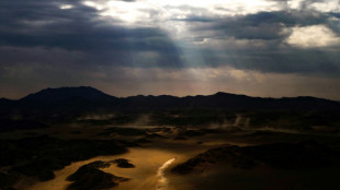 Lategan y Benavides se adjudican la 8&ordf; etapa en el Rally Dakar