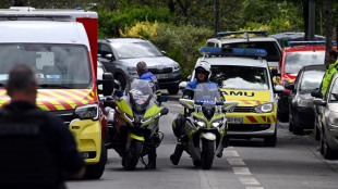 Aereo da turismo precipitato nell'est della Francia, '11 morti'