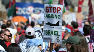 Mehr als 50 Festnahmen bei pro-pal&auml;stinensischen Protesten in Berlin