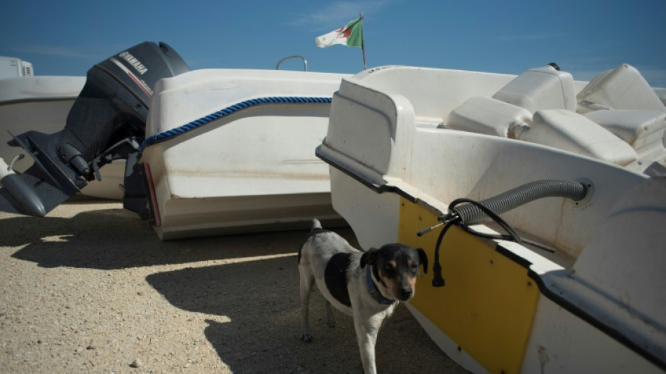 Desarticulan en Espa&ntilde;a una organizaci&oacute;n que traficaba con migrantes sirios y argelinos