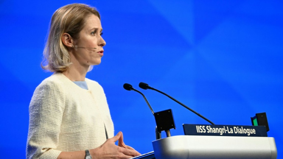 Kallas: EU erh&ouml;ht nach "harter Liebe" der Trump-Regierung Verteidigungsausgaben