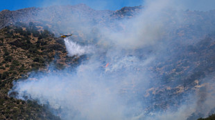 Grèce : nouvel incendie près d'Athènes