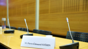 St&eacute;rin dans le viseur: les s&eacute;nateurs PS vont enqu&ecirc;ter sur les financements priv&eacute;s en politique