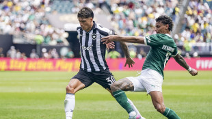 Mondiale club: 1-0 al Botafogo, il Palmeiras ai quarti
