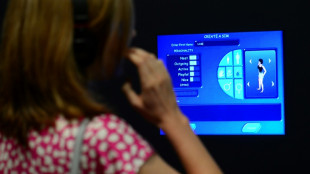 El videojuego "The Sims" ir&aacute; a la gran pantalla