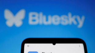 X-Konkurrent Bluesky führt blauen Verifizierungshaken ein
