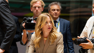 Meloni e 13 leader, 'valutare hub europei per rimpatri in Paesi terzi'