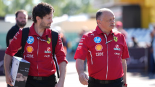 F1: Canada; Vasseur 'lavorato con massimo impegno in fabbrica'