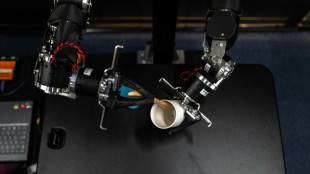 Des robots "intelligents": l'ambitieuse quête de l'IA matérielle