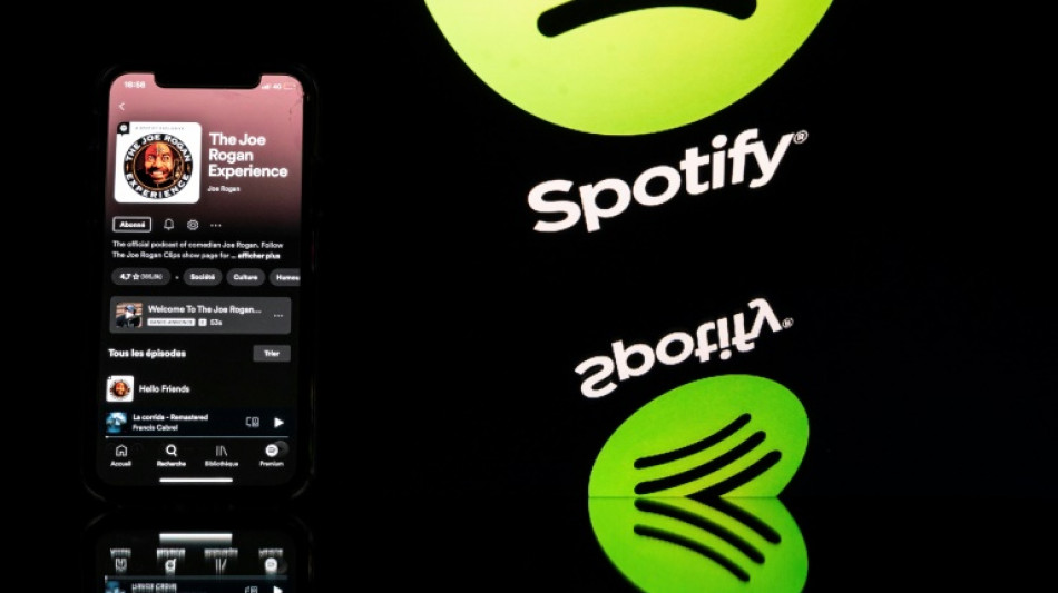 Spotify, un "mal nécessaire" pour les artistes moins connus