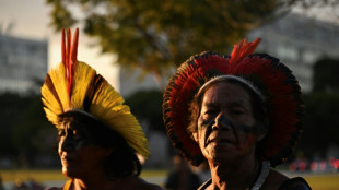 Pontos-chave sobre a demarca&ccedil;&atilde;o de terras ind&iacute;genas no Brasil