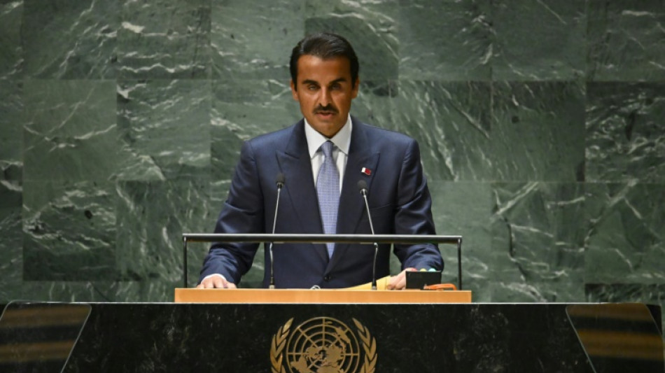 Emir von Katar: Westliche Unterst&uuml;tzer geben Israel "freie Lizenz zum T&ouml;ten"