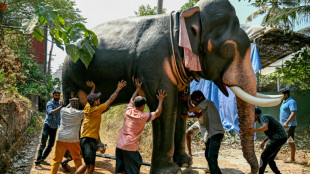 Indian stars push to end elephants in Bollywood