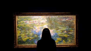 Un Monet vendu 74 millions de dollars aux ench&egrave;res &agrave; New York