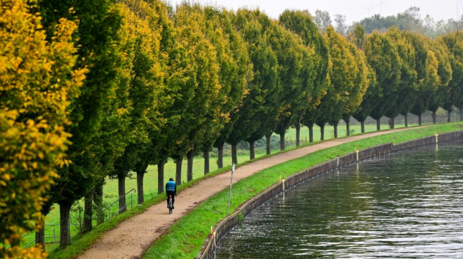 Frankfurt ist fahrradfreundlichste deutsche Gro&szlig;stadt