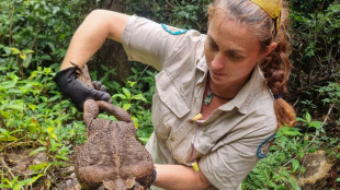 Australische Wildh&uuml;ter entdecken "Monster"-Kr&ouml;te