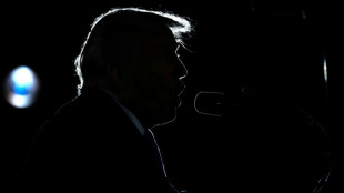 Trump embraces AI deepfakes in political messaging