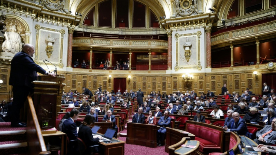 Le plan de lutte contre la fraude sociale et fiscale soumis au Sénat
