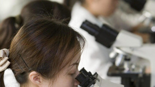 Ia e cure mirate, 30mila oncologi tracciano futuro della ricerca