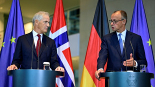 Merz: Deutschland und Norwegen wollen Sicherheitszusammenarbeit ausbauen