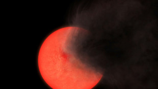 Una vieja estrella que emite humo descubierta en plena V&iacute;a L&aacute;ctea