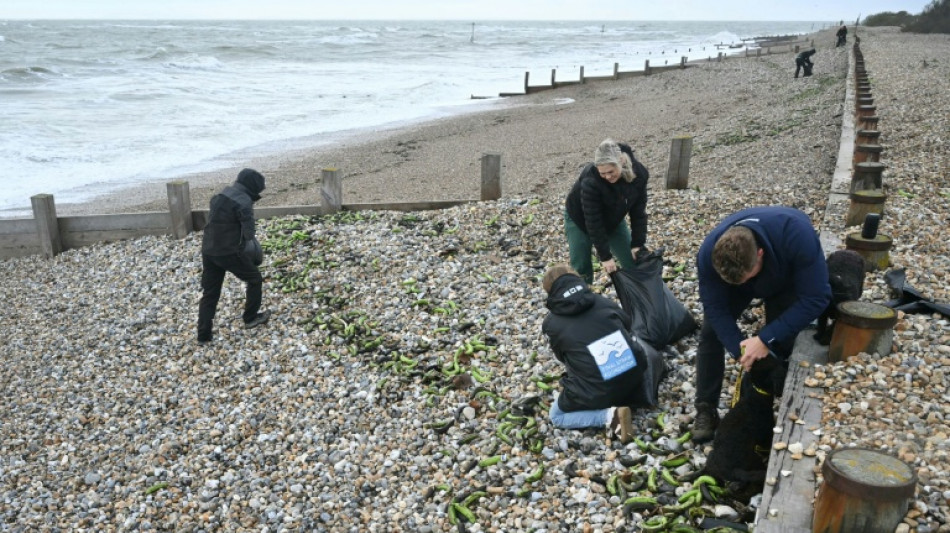 Una ola llena de pl&aacute;tanos llega a las costas inglesas 