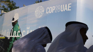 Coup d'envoi d'une COP hors norme à Dubaï