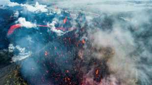 Un volc&aacute;n entra en erupci&oacute;n en el extremo oriente de Rusia tras el terremoto