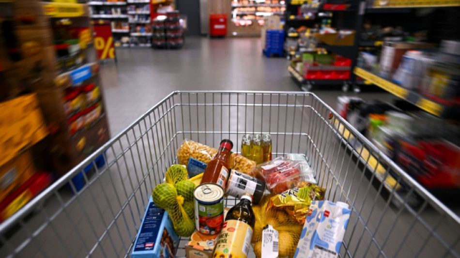 Mann stiehlt mehr als 300 Einkaufswagen in Baden-W&uuml;rttemberg