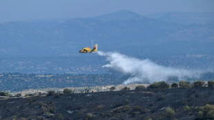 Spain taming fire that belched smoke cloud over Madrid